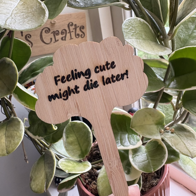 Bamboo Plant Marker, Feeling cute might die later!