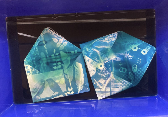 Ctanotype Photography