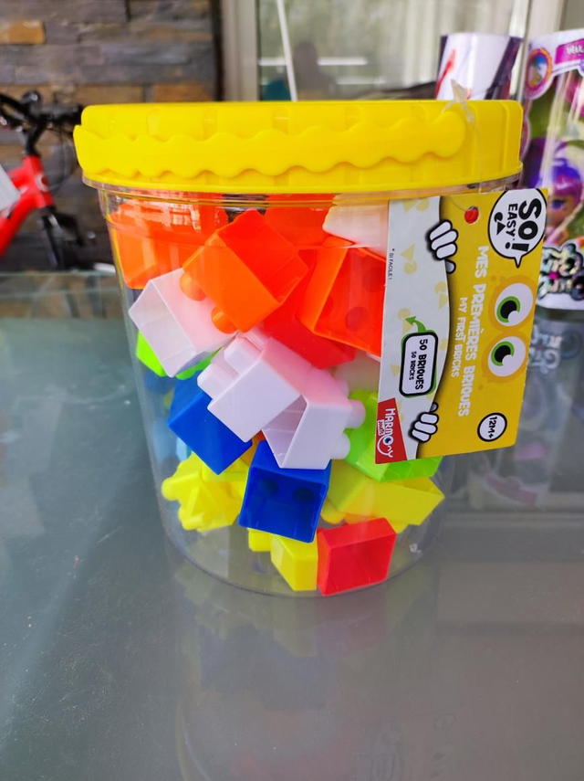 MES PREMIÈRES BRIQUES