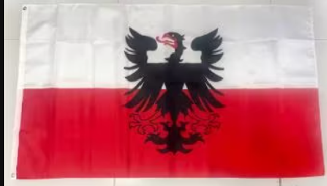 Grote vlag Deventer (150x90cm)