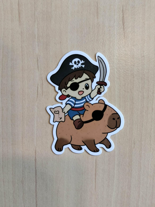 Tommy et son capibara pirates 