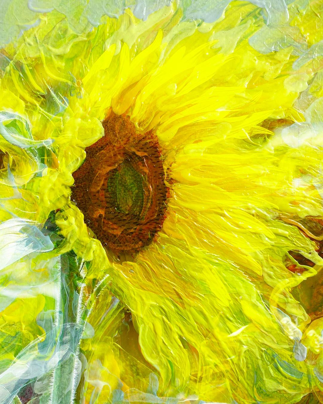 Peinture tournesol