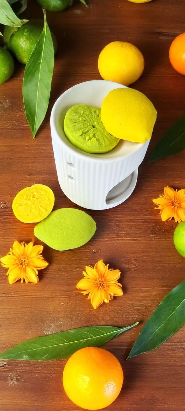 🍋 Fondants parfum – Mousticool 🦟 (Ciao les moustiques !)