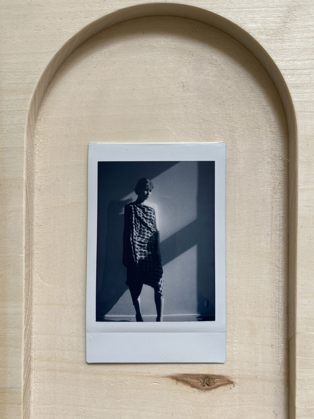 Dead Birds & Lionheart Instant Photo 7.