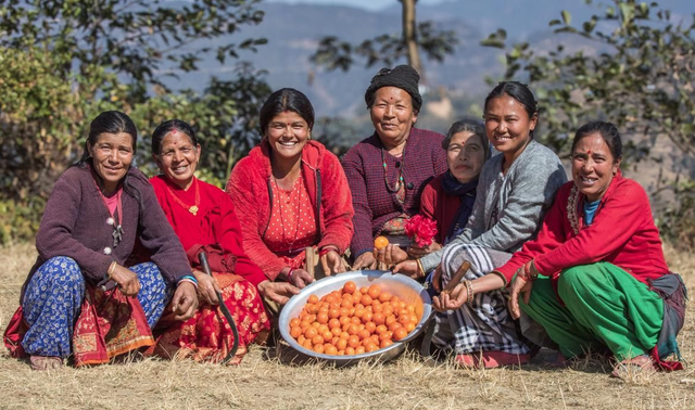 START A TREE NURSERY