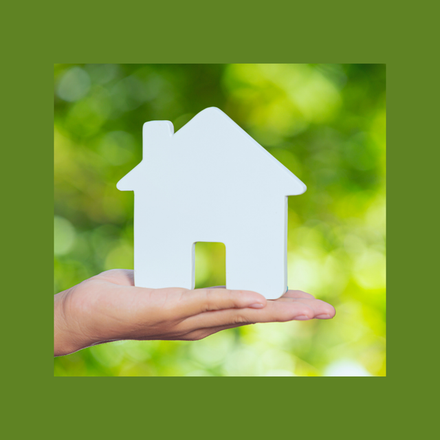 B. Soins et harmonisation de l'habitat et de ses habitants (1er RDV)