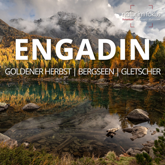 Anzahlung Fotoreise Schweizer Nationalpark & Engadin – herbstliche Alpen – 14.-18.10.2026