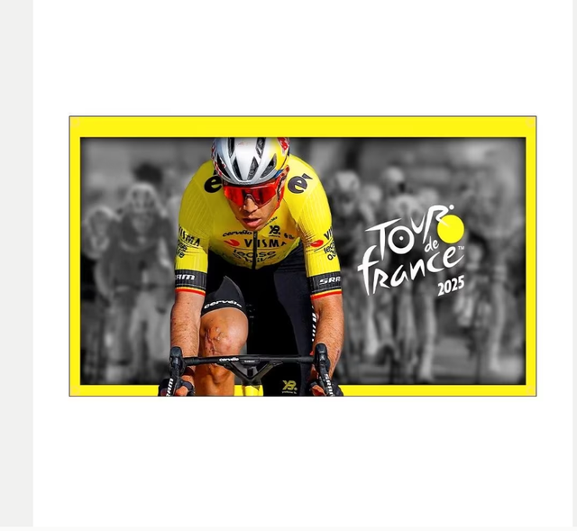 Grote vlaggen Tour de France (150x90cm)