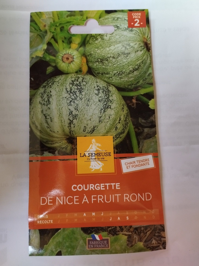 Courgette de Nice à fruit rond