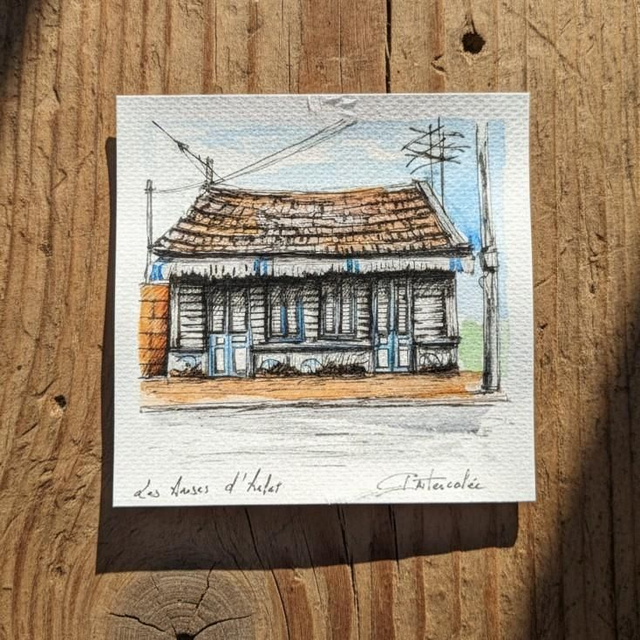 Encre et aquarelle mini - case créole #9 - Les Anses d&#039;Arlet - Martinique