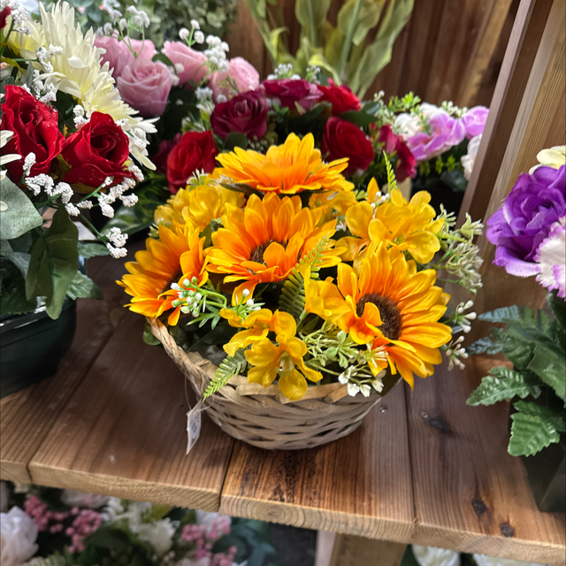 Composition tournesol 