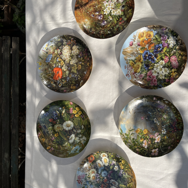 Set von 6 Tellern Fürstenberg "Wilde Schönheiten"