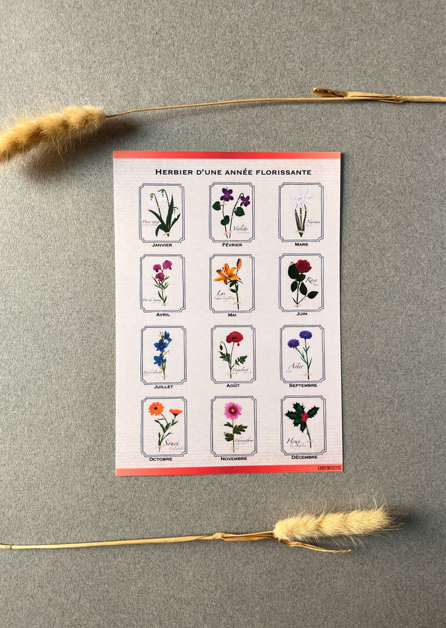 Affiche bonus. L'herbier d'une année florissante