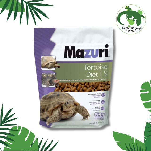 Mazuri Tortuga de Tierra 