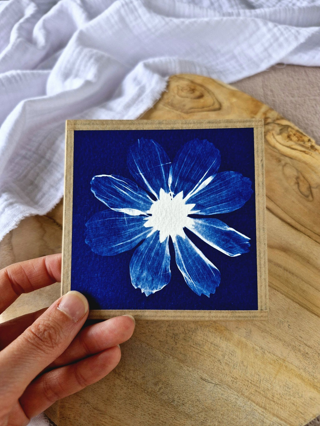 💙 Mini CyanÔ - Les mignonneries - Cosmos L