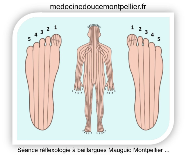 Réflexologie 