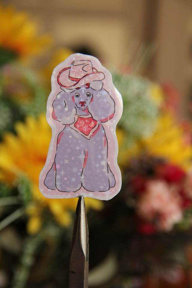 Sticker Caniche Cow boy 