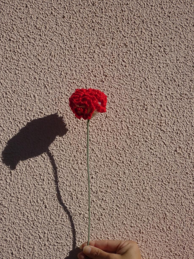 Œillet rouge et blanc pailleté 