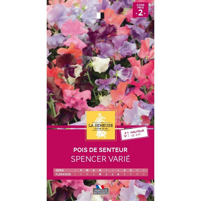 POIS DE SENTEUR SPENCER VARIE