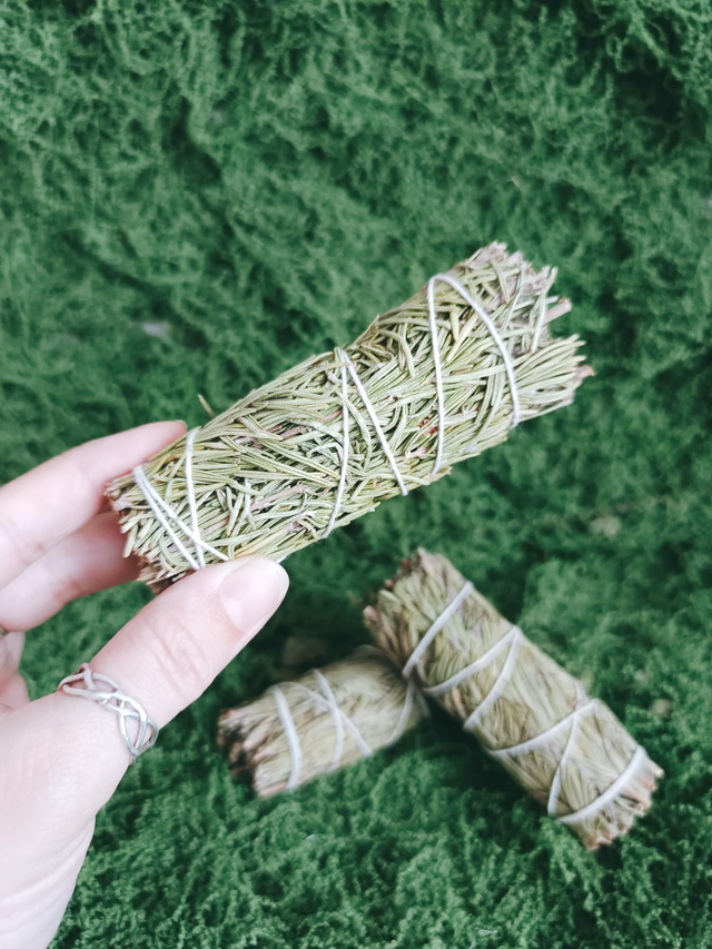 BÂTON DE ROMARIN -PURIFICATION 