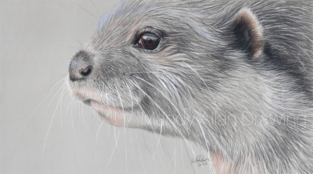 &quot;New Forest Otter&quot; SOLD