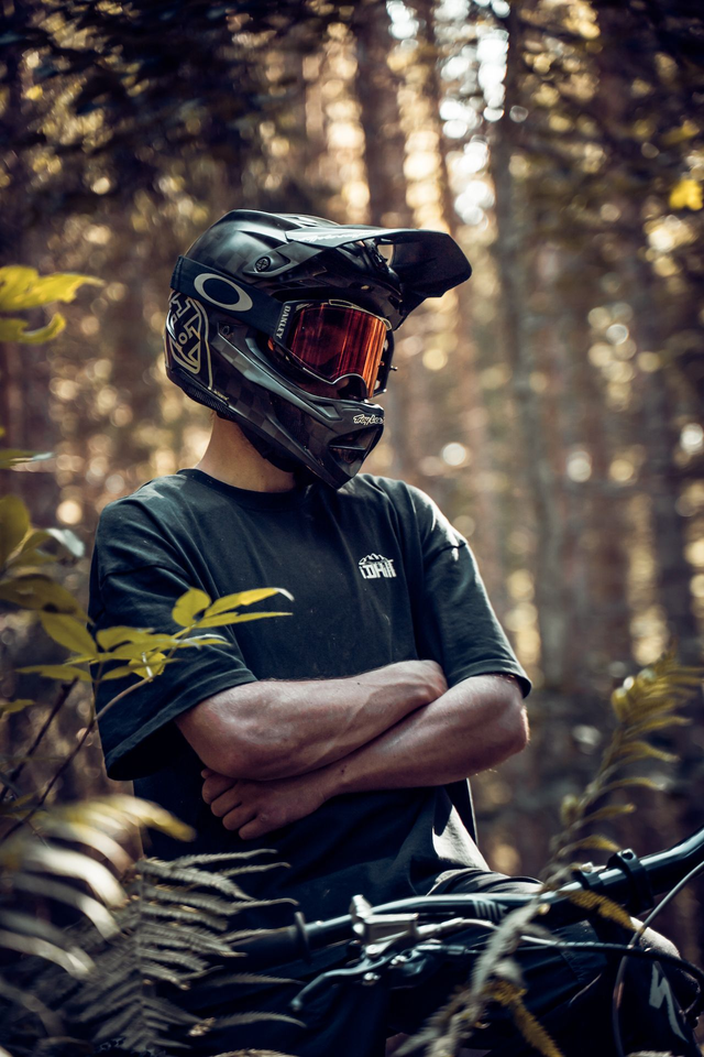 🌲GOOD MOOD in the WOODS V.2🌲