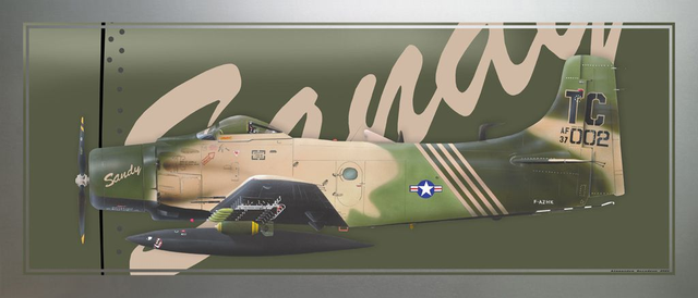 DI 014 Skyraider sandy