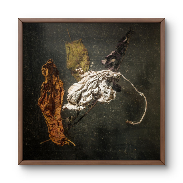 THE-VIRGIN-SHIELD  FINE ART PRINT 20X20CM 