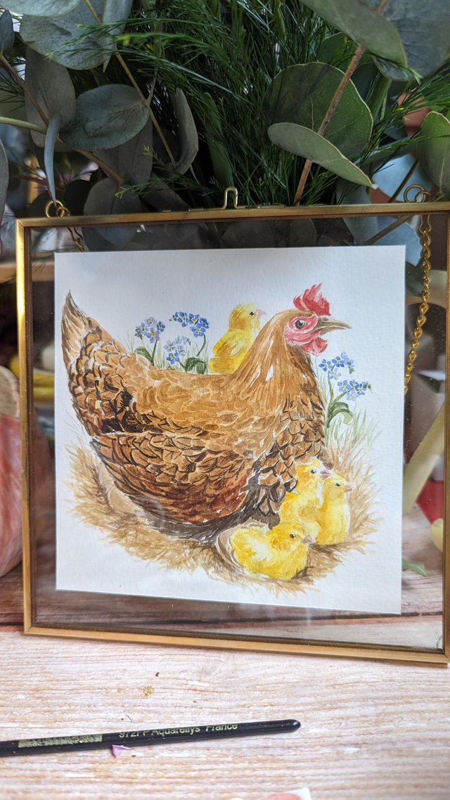 Poules, poussins et myosotis 