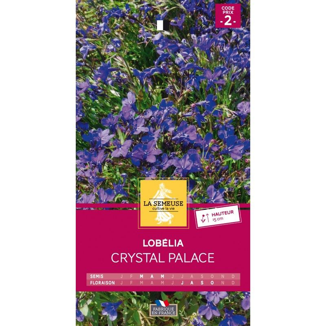 LOBELIA CRYSTAL PALACE
