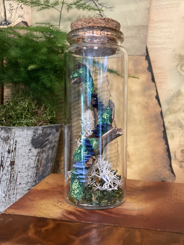 Champignon arbre bleu