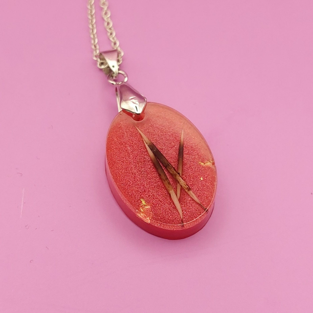 Épines d'hérisson immortel