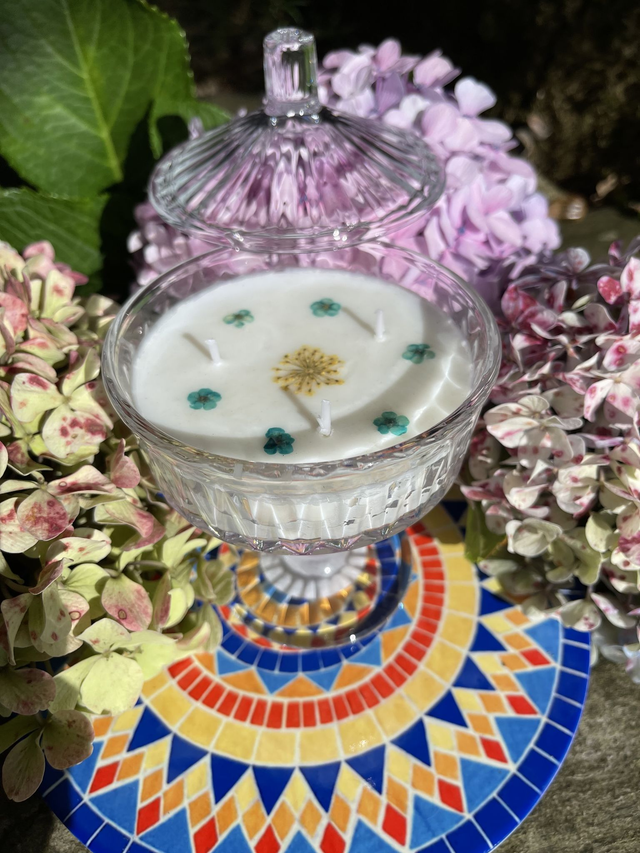 Vintage  Eclipse de Lune