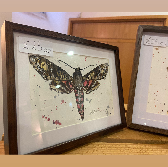 Original ‘Morticia’ Moth 5 x 7 painting in dark wood frame 