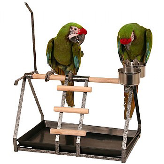 Tabletop Parrot Stand with Toy Hanger &amp; Feeder