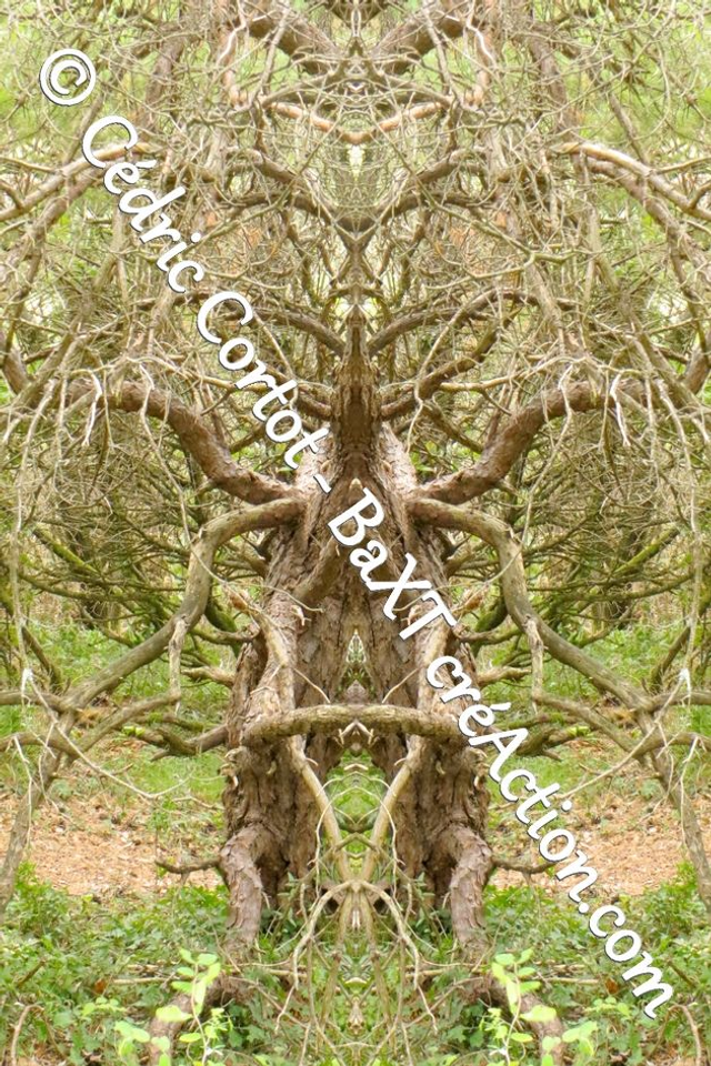 Impression sur alu dibond - Entre réel et irréel (ref 1422 R1)