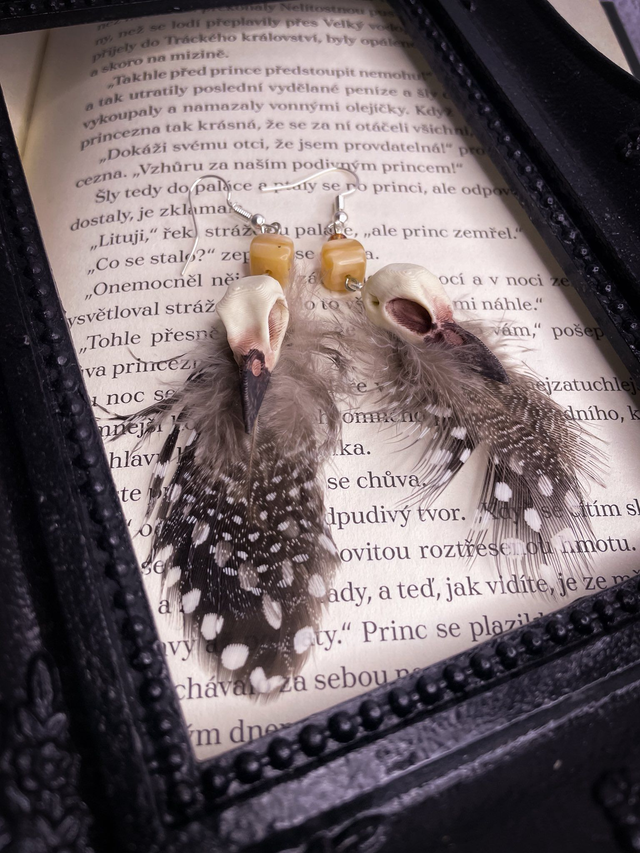 Náušnice Animal osteology ptačí lebka s pírky