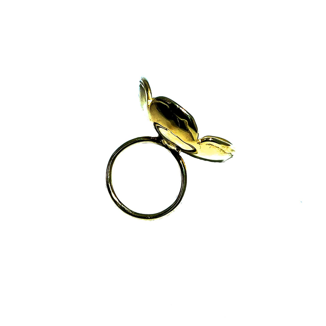 Anello collezione Salerno modello 0334