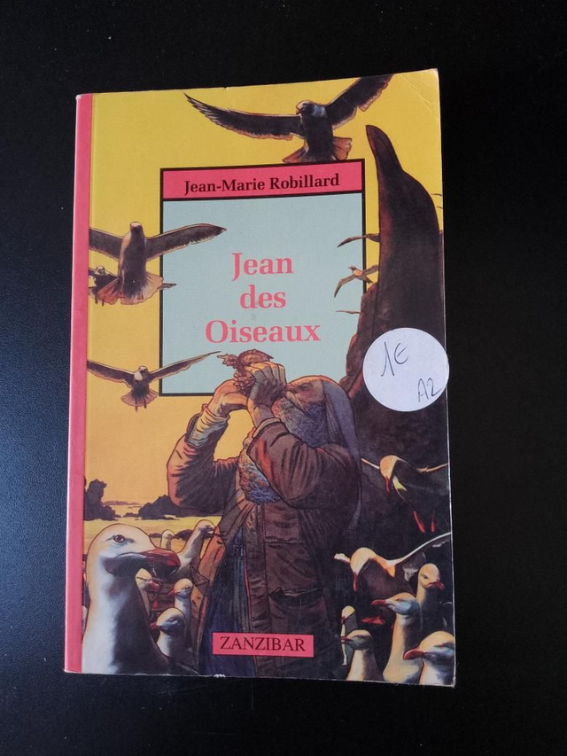 Jean des oiseaux, Jean-Marie Robillard