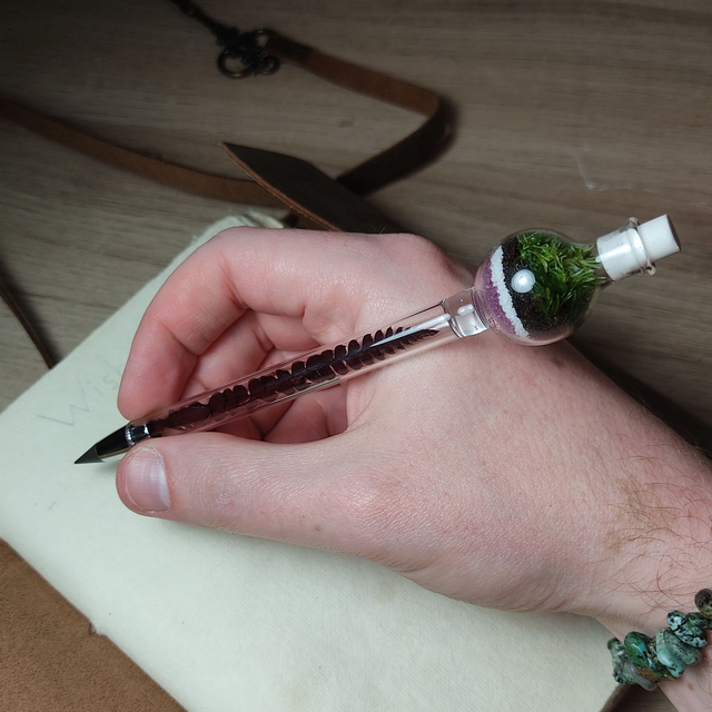 Crayon Éternel Terrarium