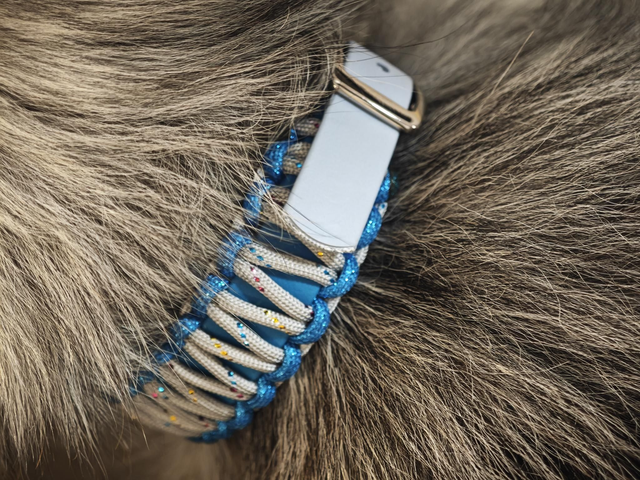 Collier en biothane + paracorde tressé par dessus RÉGLABLE