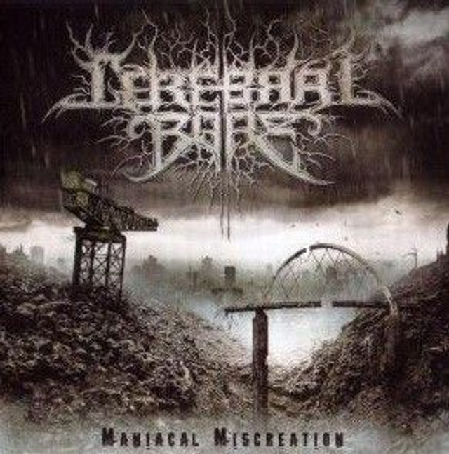 Cerebral Bore Maniacal Miscreation Import Gbr