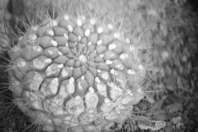 13 Vitrail Sphérique