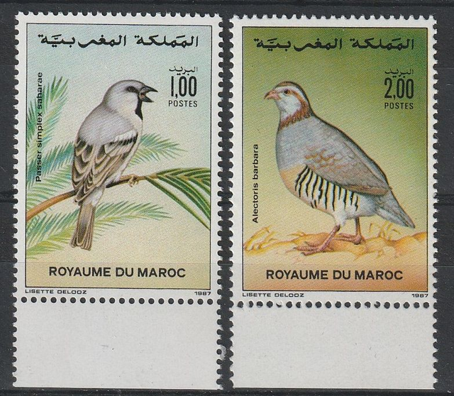 Morocco 1987 Birds Set MNH