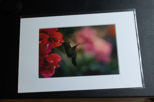 Tirage illimité Grenat avec passe-partout 