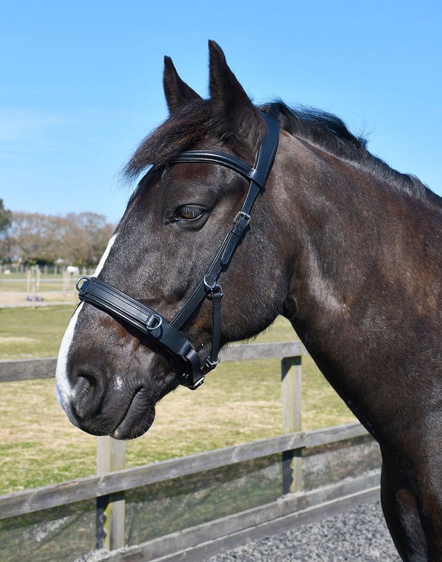 Rhinegold Leather Lunge Cavesson