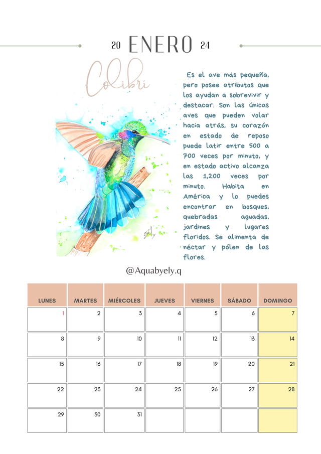 Calendario Pared fauna