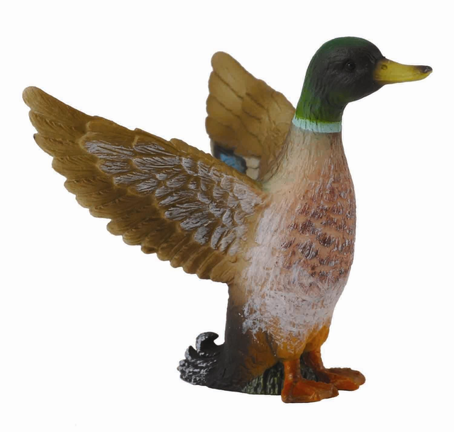 Collecta L'heure de la ferme >  La vie à la ferme    88378  Canard colvert - Mâle