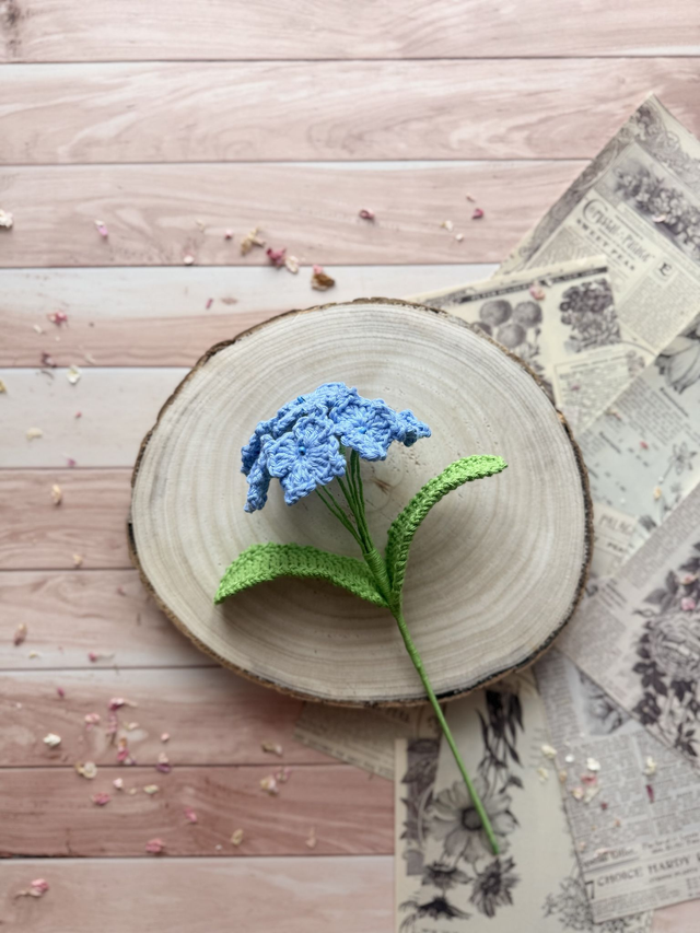 Hortensia petit et son feuillage (personnalisable pour créer votre bouquet)