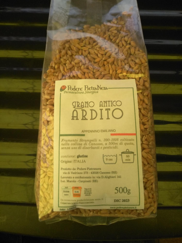 Ardito Chicco